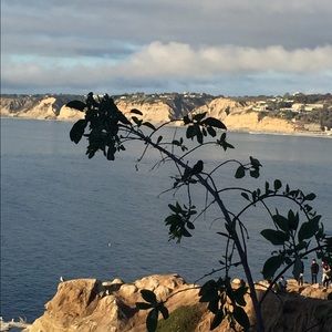 Meet your Posher, Brienne